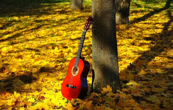FOREST, NATURE, TREE, TRUNK, RED, GUITAR, LEAVES, HARMONY