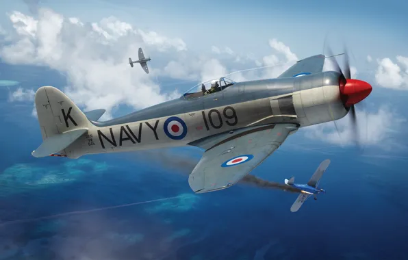 Fighter, Carrier-Based Fighter, Hawker Sea Fury, Combat aircraft, Piston aircraft
