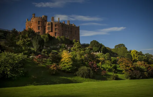 Picture landscape, castle, vegetation, hill, Castle, Welshpool, Powis