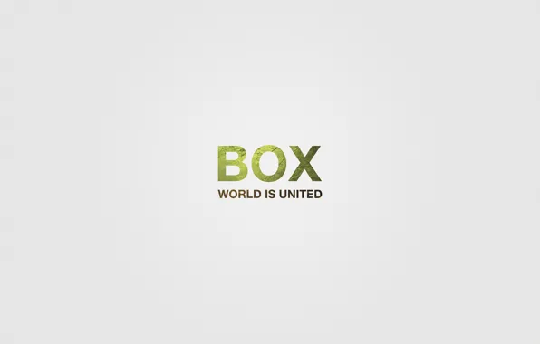 Text, the world, noise, box
