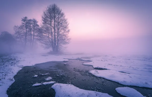 Winter, snow, trees, fog, stream, dawn, morning, river