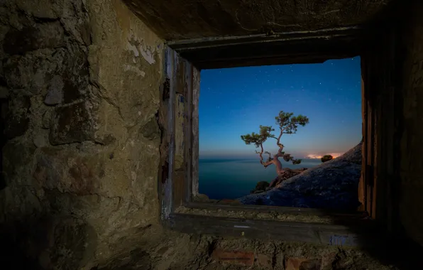 Sea, landscape, night, wall, tree, window, Alexander Plekhanov