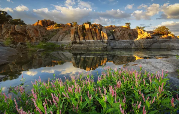 Clouds, flowers, lake, reflection, rocks, AZ, USA, Arizona