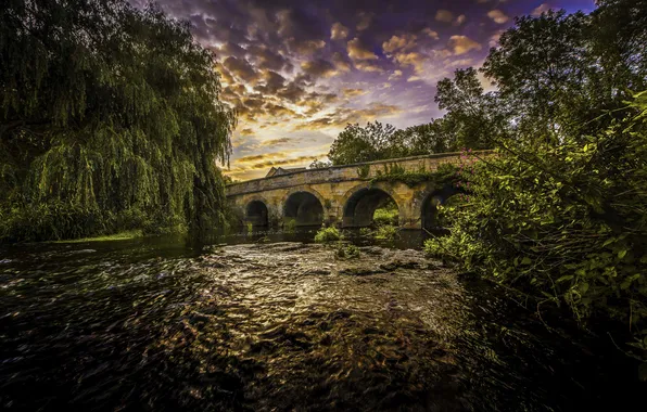 The sky, clouds, trees, bridge, river, mirror, brush