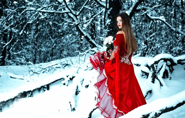Winter, forest, girl, snow, roses, bouquet, dress, in red