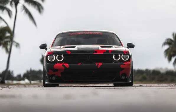 Picture Dodge, Challenger, SRT, R/T, Face, Camouflage, Sight, Front