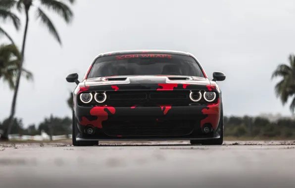 Dodge, Challenger, SRT, R/T, Face, Camouflage, Sight, Front