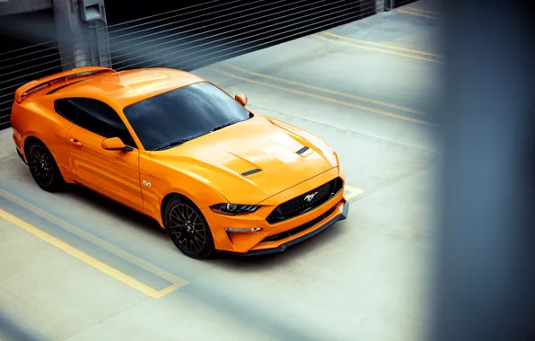 Ford, 2018, Mustang GT, Fastback Sports