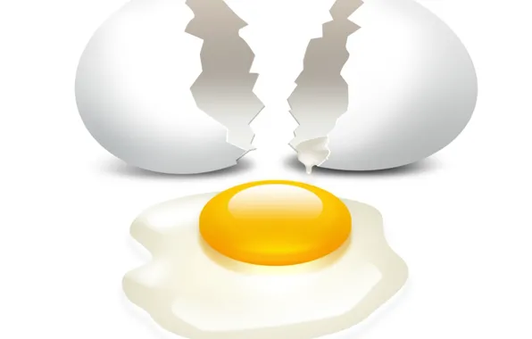 Picture egg, shell, the yolk, broken, protein