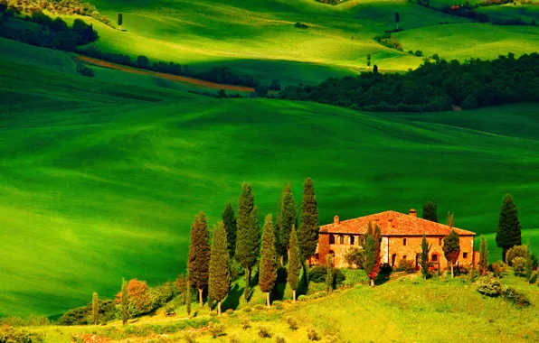 Picture field, trees, house, hills, Italy, Tuscany