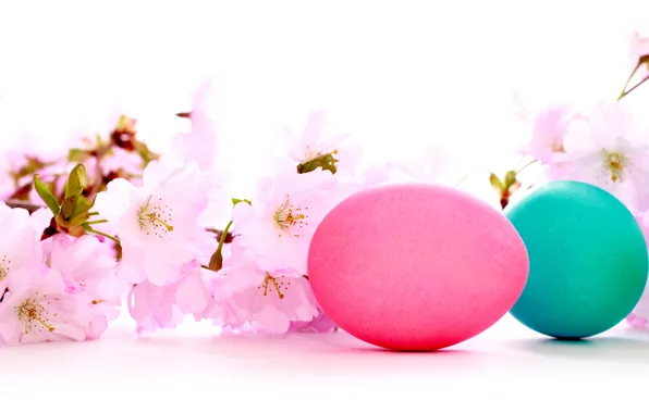 Holiday, beauty, Easter, colored eggs, cherry flowers