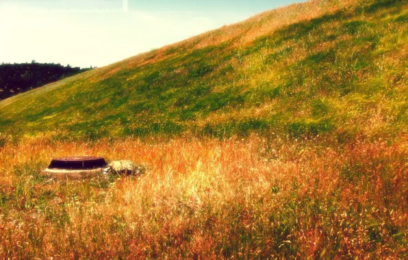 Autumn, bright colors, landscape, yellow grass, nature, style, landscape, rusty manhole cover