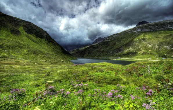 Road, grass, clouds, flowers, mountains, lake, Switzerland, slope