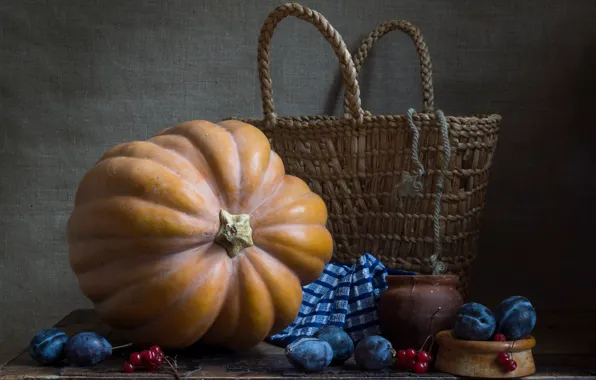 Fabric, pumpkin, pot, bag, still life, basket, plum, Kalina