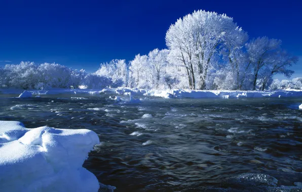 Winter, snow, trees, river
