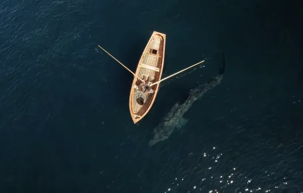 Sea, boat, shark, fisherman, top, paddles, Basking Shark underneath boat off the coast of Ire, …