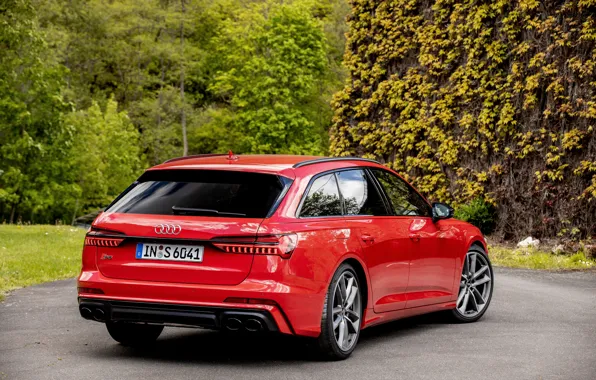 Red, Audi, vegetation, back, universal, 2019, A6 Avant, S6 Before