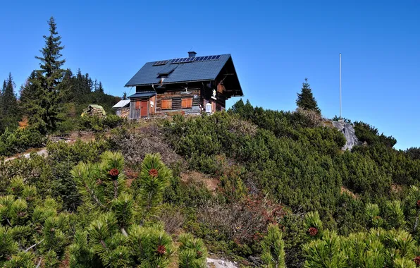 Forest, house, photo, mountain, Austria, Bad Goisern