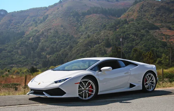 White, road, lambo, Hurricane