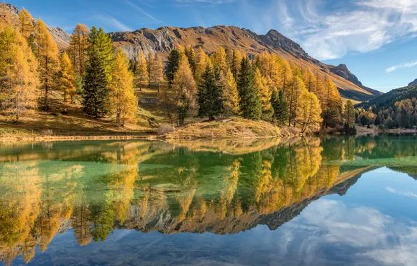 Picture Palpuogna, Grisons, Bergün Filisur