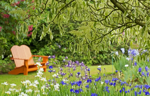 Flowers, bench, Park, tree, irises, bokeh