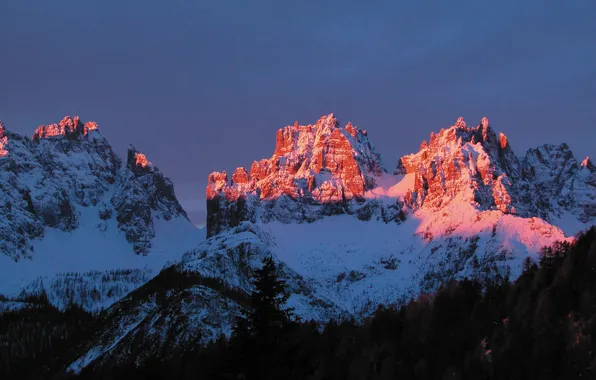 Picture winter, the sky, snow, trees, sunset, mountains, nature, rocks