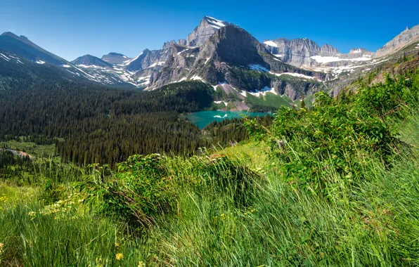 Picture forest, grass, trees, mountains, lake, rocks, USA, the view from the top