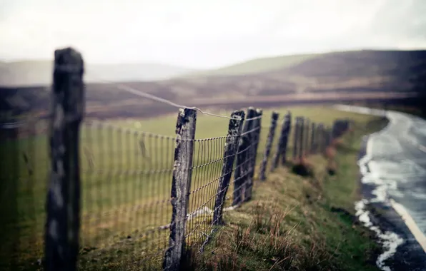 Road, macro, the fence
