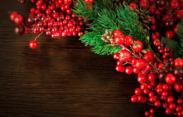 Branches, red, tree, Holly