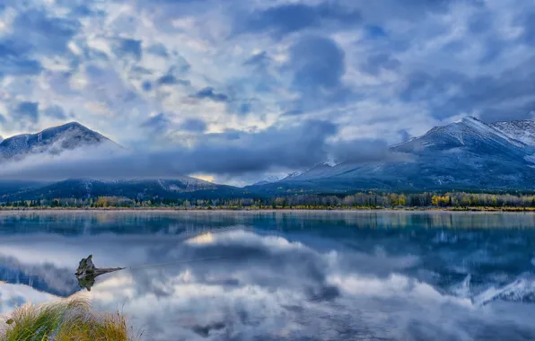 Picture forest, clouds, mountains, lake, reflection, blue
