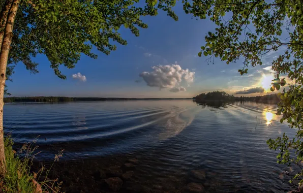 Wave, trees, lake, dawn, morning, Finland, Finland, Lake Cariari