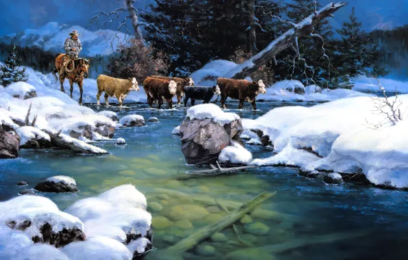 Winter, forest, snow, mountains, nature, stones, horse, horse