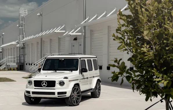 Mercedes, Tree, AMG, White, G63, Vossen, Brick, W464