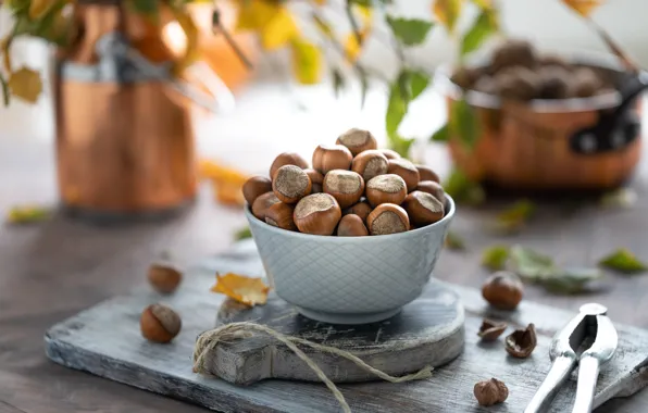 Wallpaper bowl, nuts, still life, forest, Karina Klachuk