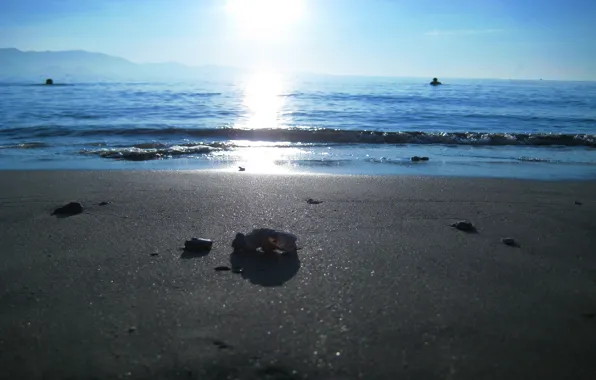 Sand, sea, beach, nature