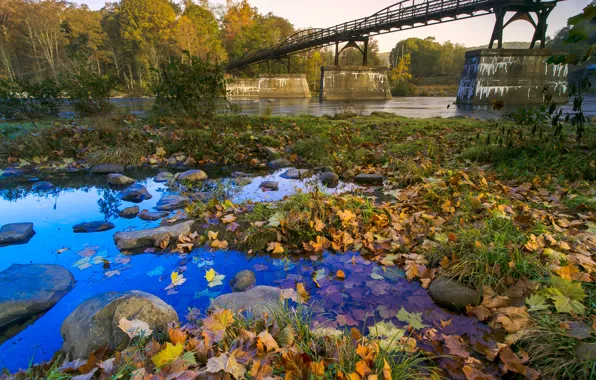 Autumn, the sky, leaves, trees, bridge, river, stones, support