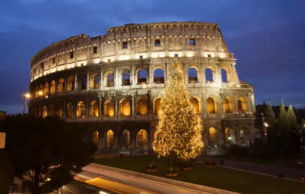 Tree, Rome, Colosseum