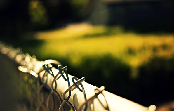Picture macro, nature, mesh, the fence, fence, blur