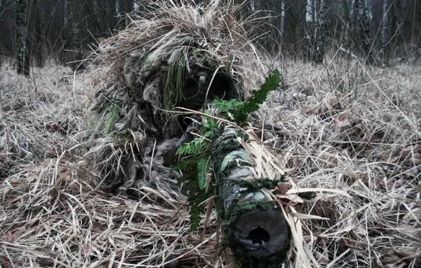 Picture optics, sniper, camouflage, sight, rifle