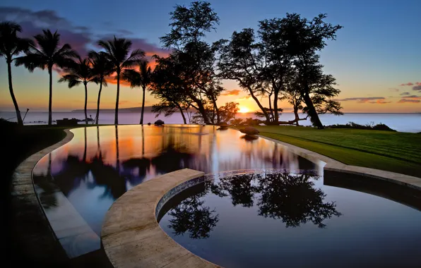 Picture the sky, water, clouds, reflection, trees, sunset, palm trees, island