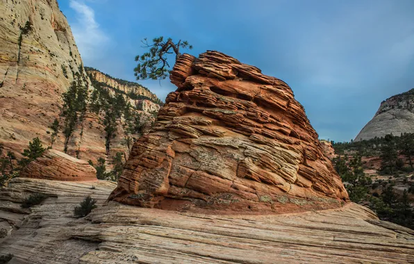 The sky, trees, mountains, rock