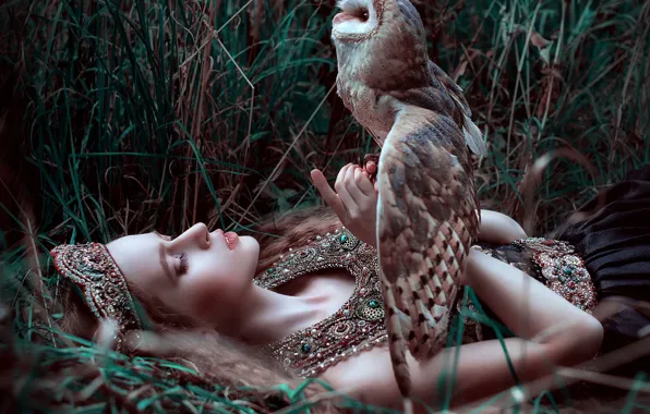 Grass, girl, decoration, owl, bird, by Maria Lipina, Olga Krushina