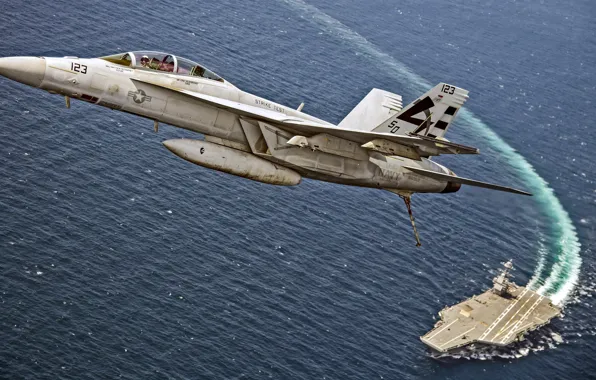 Picture fighter, Super Hornet, McDonnell Douglas, F/A-18F