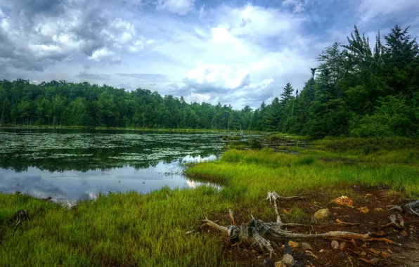 The sky, Clouds, Lake