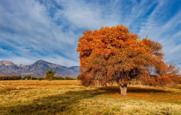 Picture United States, California, Sierra Trailer Park