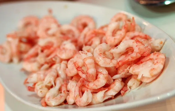 Plate, pink, shrimp, seafood