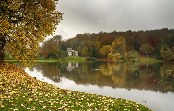 Autumn, forest, nature, nature