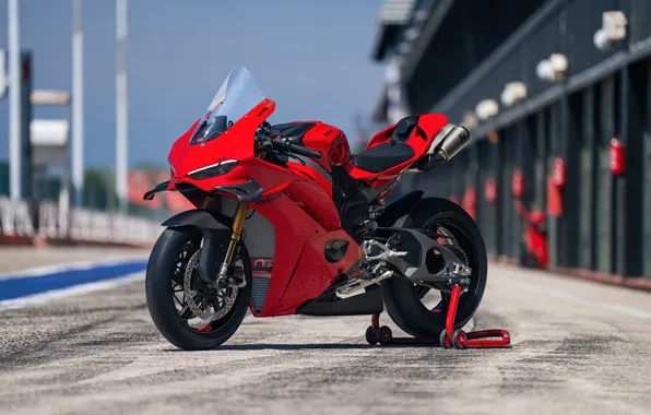 Picture Ducati, Panigale