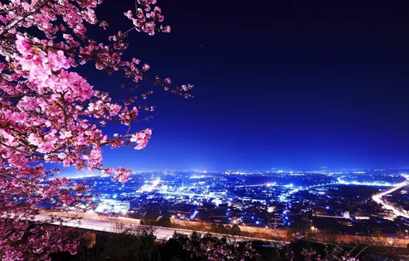 Picture the sky, the city, Sakura