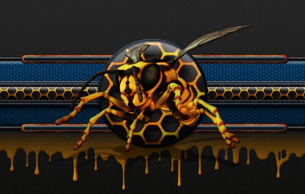 Bee, cell, honey, honey, glow, bee, drip